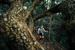 BIB: 
                            <button type="button" onclick="openModal(25393261)" class="btn btn-primary btn-sm float-right btn-popup" data-toggle="modal" data-target=".modal-high-quality">
                        <i class="fas fa-shopping-cart"></i> Add to Cart
                    </button>
                                            <button type="button" onclick="isThisMe(25393261, true)" class="btn btn-success btn-sm float-right btn-popup btn-isme hidden" data-toggle="tooltip" data-placement="bottom" title="นี่คือรูปของคุณใช่ไหม คลิกที่นี่เพื่อเอาเข้าอัลบั้ม">
                        <i class="fas fa-plus"></i> Add to album
                    </button>
                    <button type="button" onclick="isThisMe(25393261, false)" class="btn btn-warning btn-sm float-right btn-popup btn-isnotme hidden">
                        <i class="fas fa-ban"></i> Remove from album
                    </button>